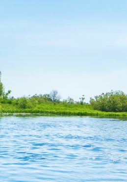 Pharmaceuticals in rivers: the impact on the environment and manufacturers