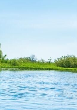 Aqua-May-blog-1024-×-371-px_jpg