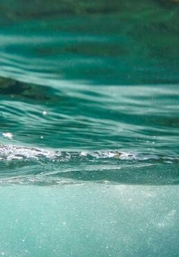 Sulphate removal: an innovative approach