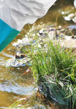 Aqua july blog (1024 x 371 px)_png